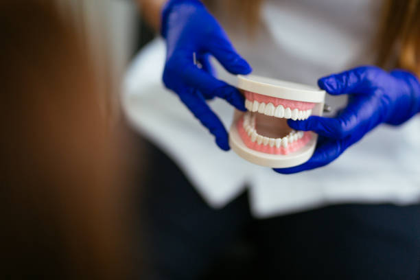 Kenton, OH Holistic Dental Care Services Company
